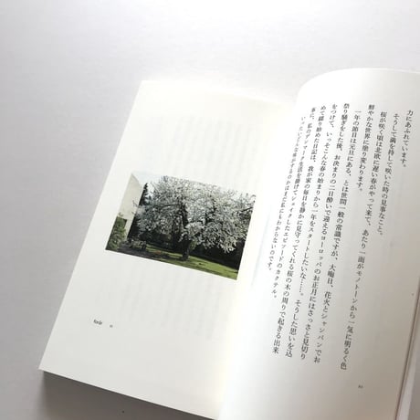 ヤコブセンの家 桜日記