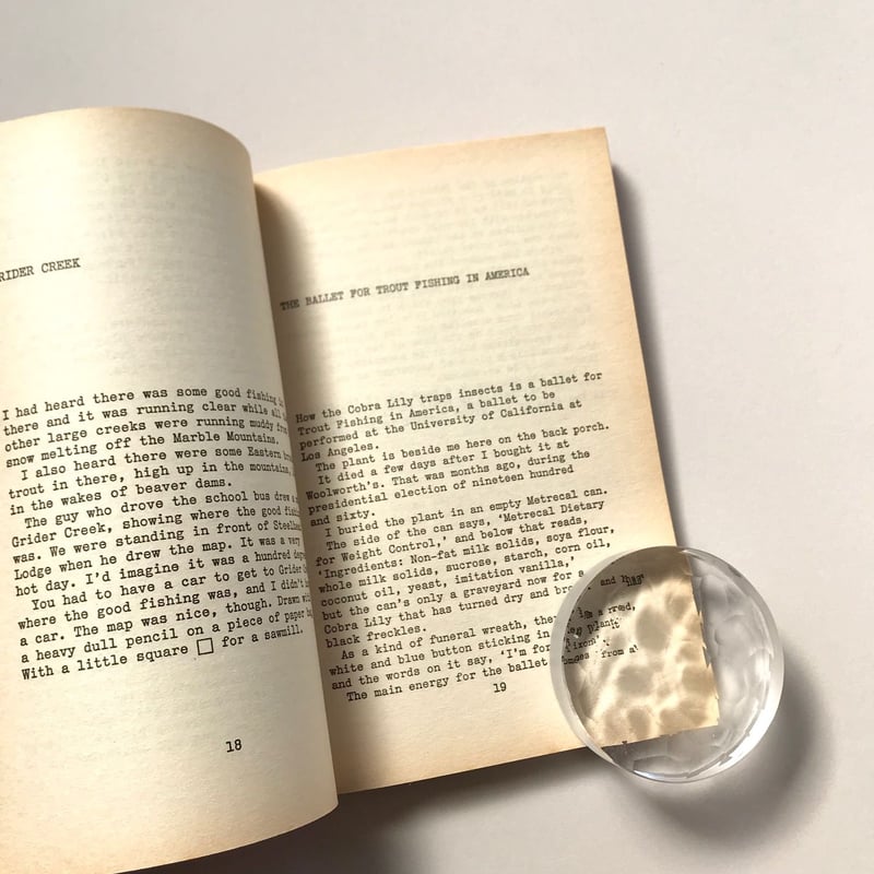 TROUT fishing in AMERICA | suiran