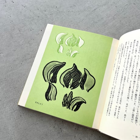 わたしの草と木の絵本
