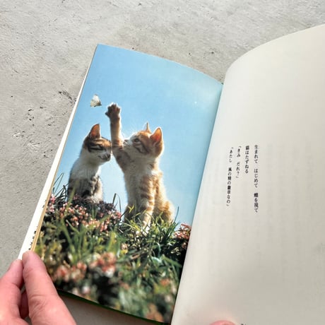 ねこ・ねこ・ねこ！