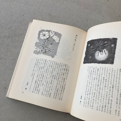 自然手帖