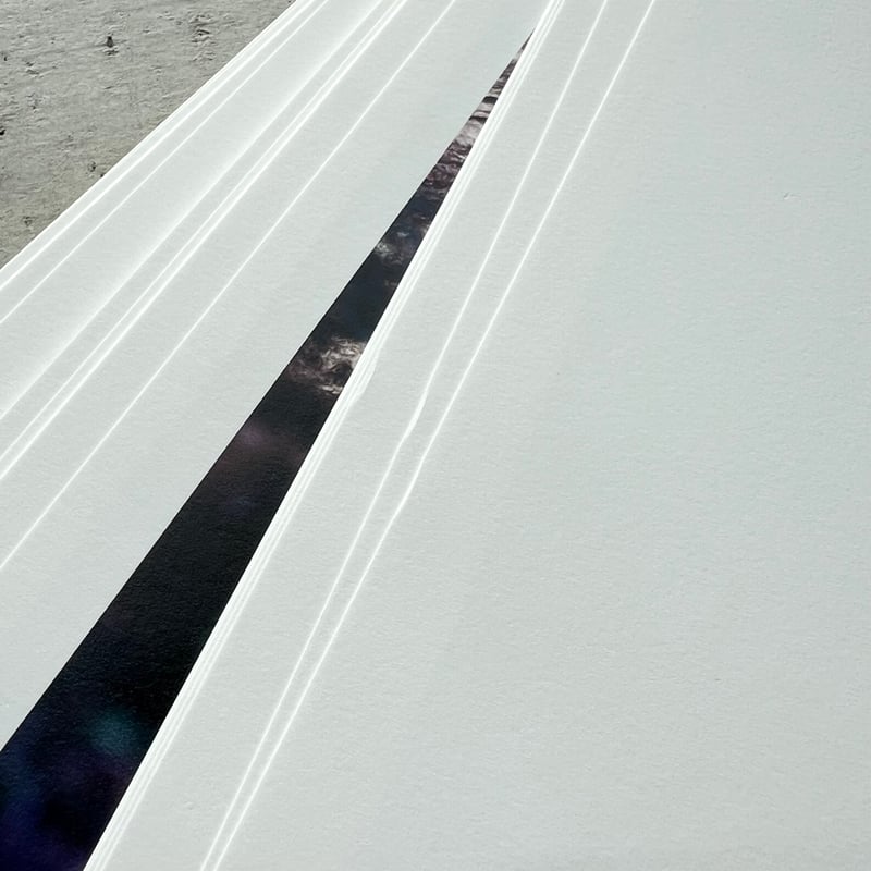 紋黄蝶 ミナ ペルホネン 2014-15 秋冬 | suiran