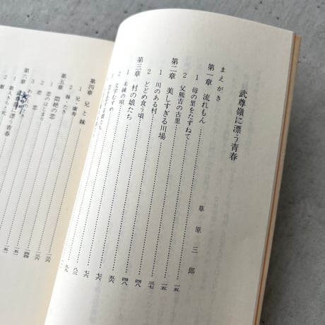 武尊嶺に漂う青春　女啄木「江口きち」の伝記