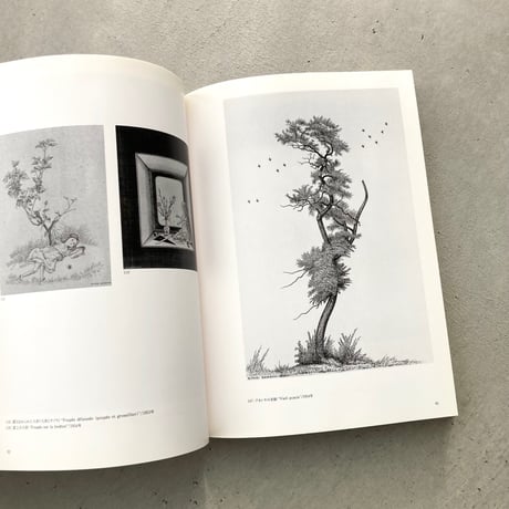 【図録】長谷川潔展