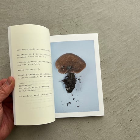 群れた島々とキノコたち