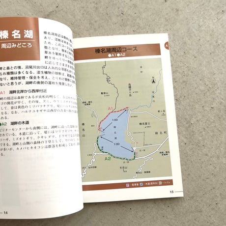 野山の花をたずねて⠀榛名山編