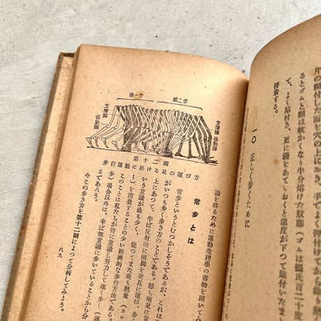 靴の科学