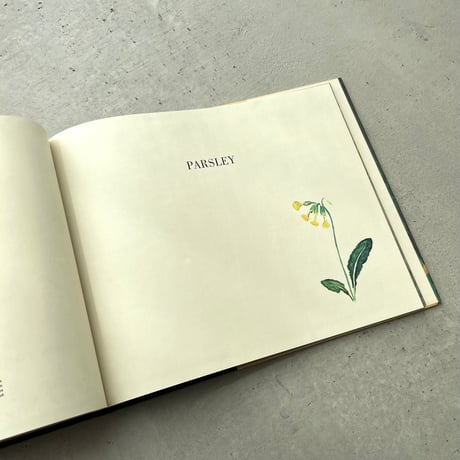 PARSLEY