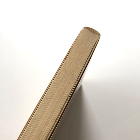 佐貫亦男のアルプ日記