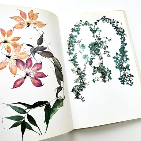 FLORA