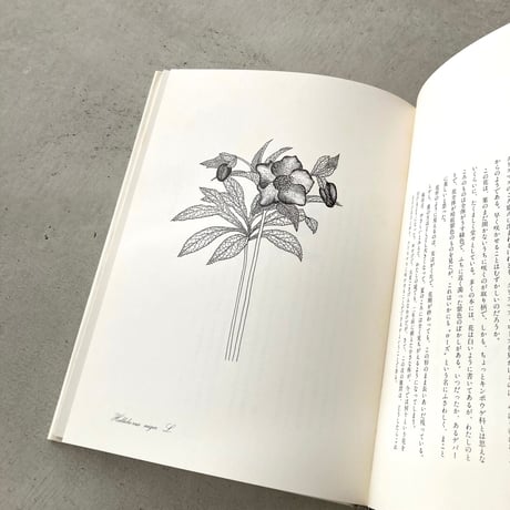 私の植物図鑑