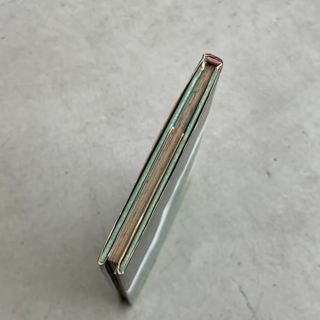 どういうわけか、ボクはネコ