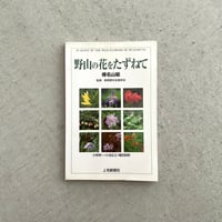 野山の花をたずねて⠀榛名山編
