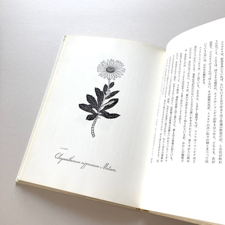 画文集 花の絵本