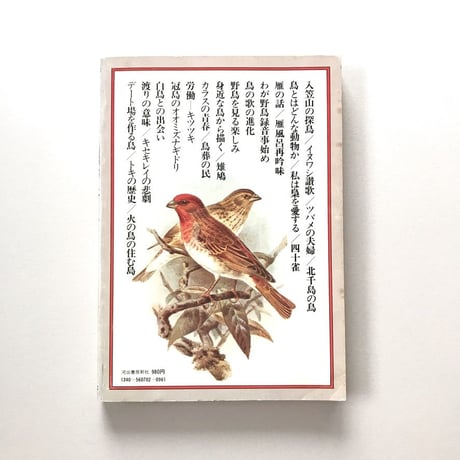自然読本 野鳥