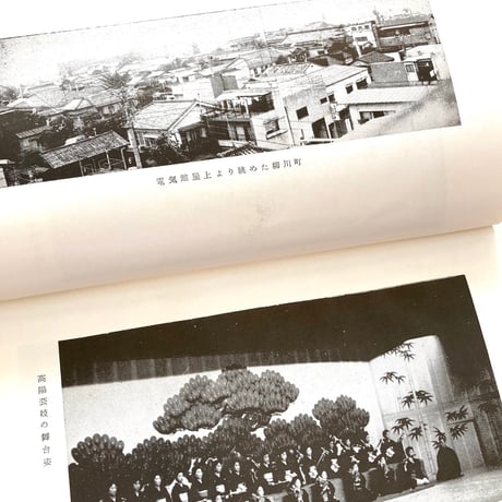 高崎郷土花街史