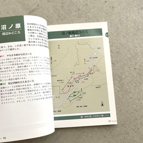 野山の花をたずねて⠀榛名山編