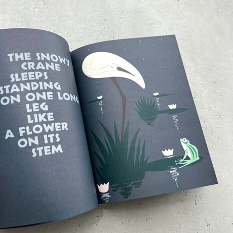 SLEEPY BOOK