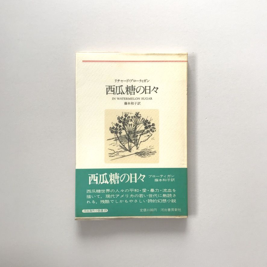 西瓜糖の日々