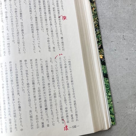 緑の哲学