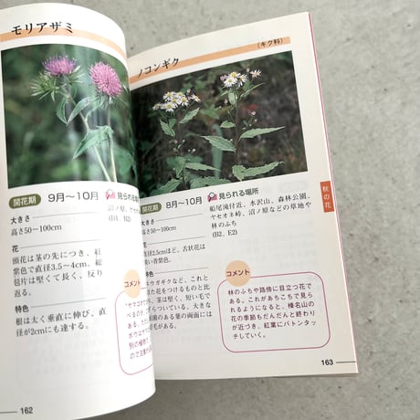 野山の花をたずねて⠀榛名山編