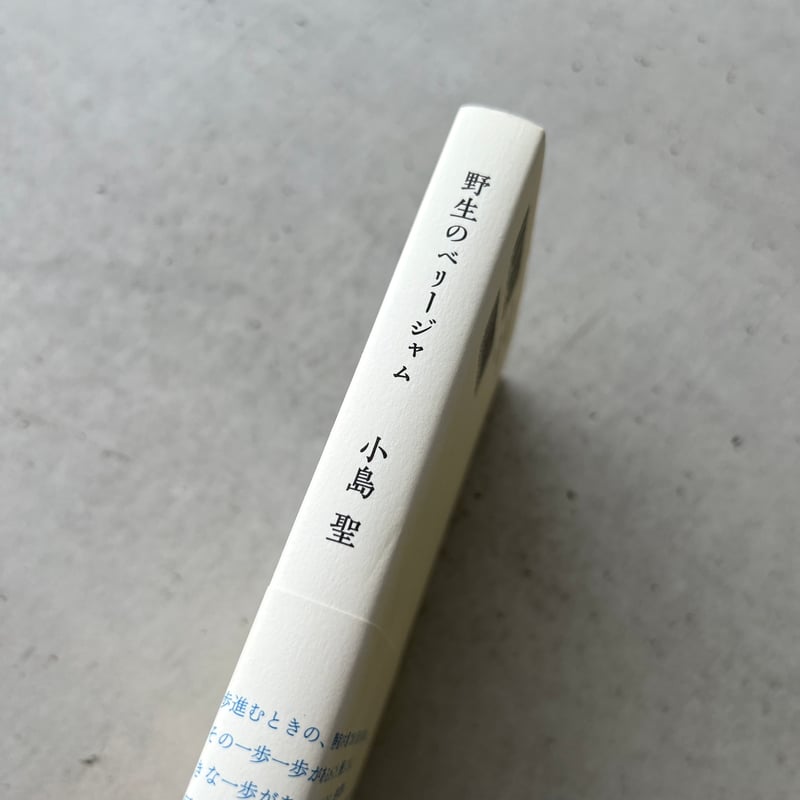 野生のベリージャム 小島聖 野生のベリージャム｜青幻舎 SEIGENSHA Art Publishing, Inc.