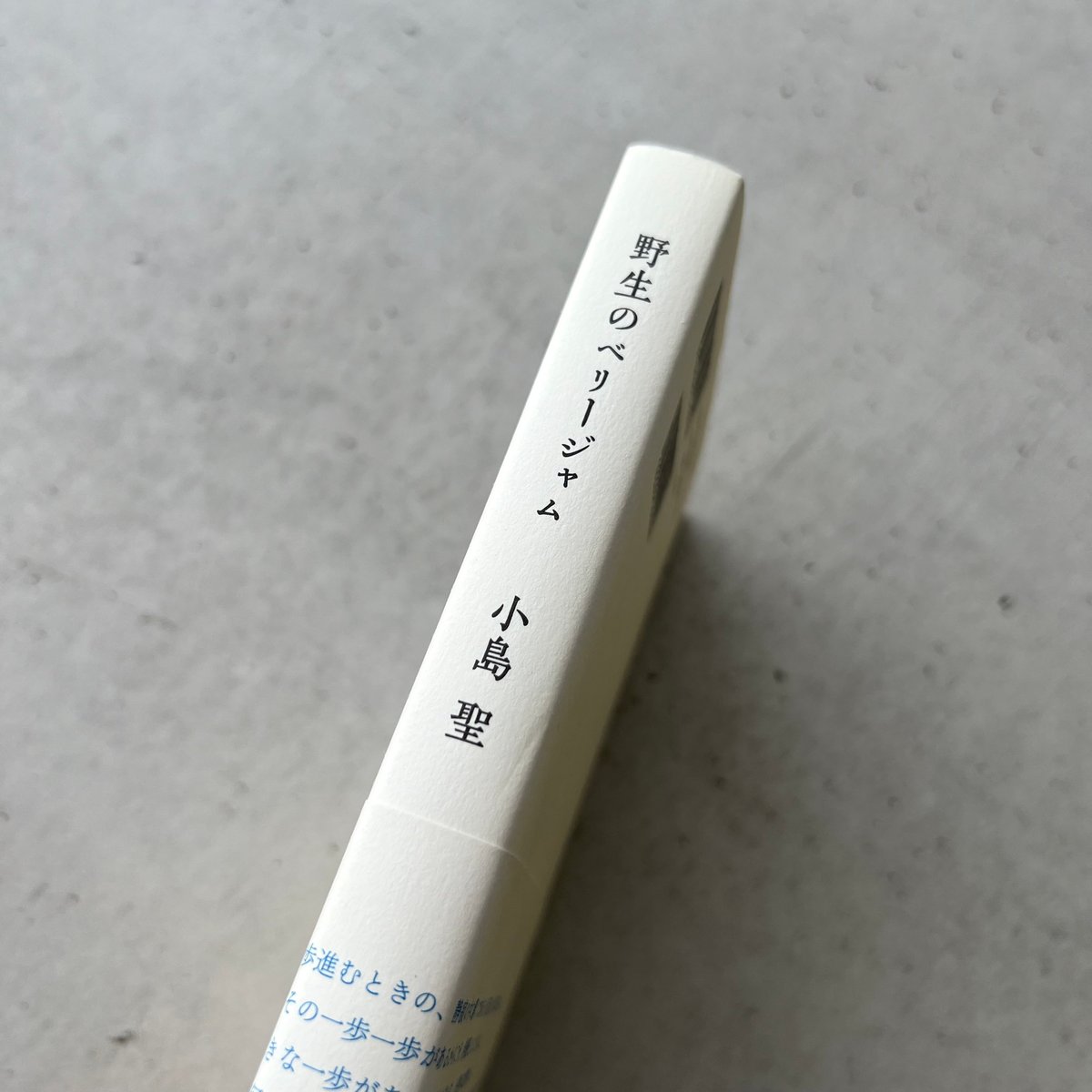 野生のベリージャム 小島聖 野生のベリージャム | 小島 聖, 石塚元太良, 野川かさね |本