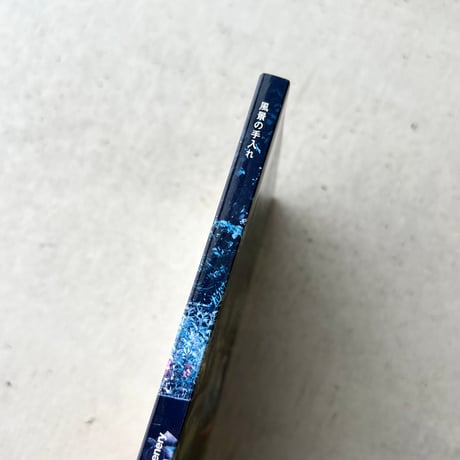風景の手入れ　ホンマタカシ