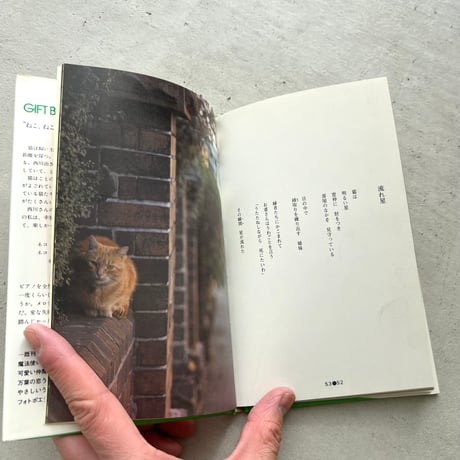 ねこ・ねこ・ねこ！