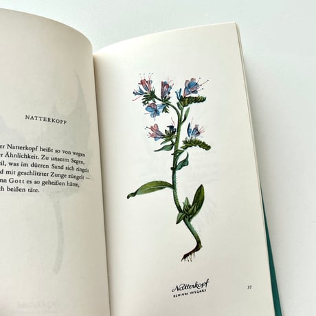 Heiteres Herbarium：Blumen und Verse