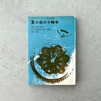 シーズレイン　She's　Rain　　平中悠一 シーズ・レイン (河出文庫 240A) | 平中 悠一 |本 | 通販 | Amazon