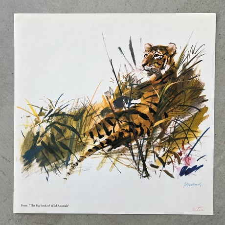Grabianski’s Portfolio