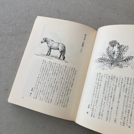 自然手帖