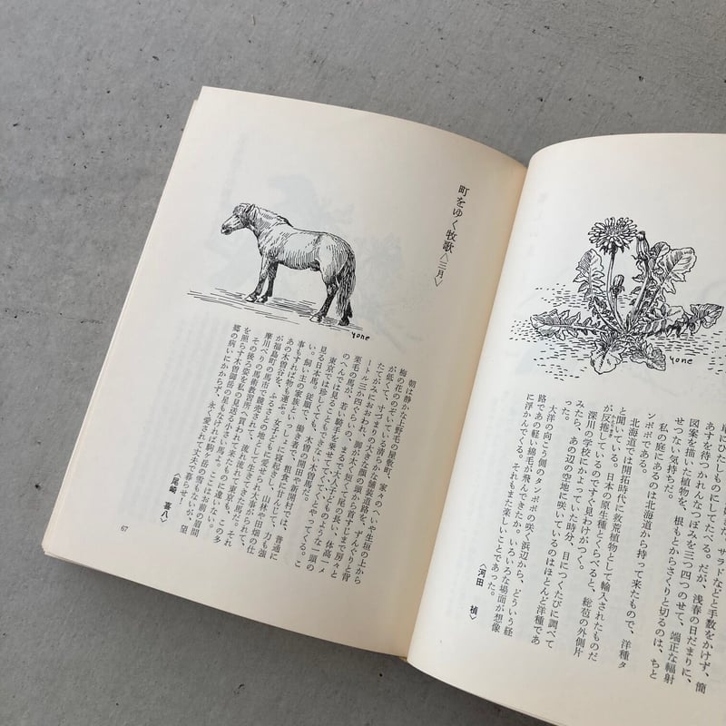 尾崎喜八　串田孫一　山﨑猛　アルプ　俳句　詩人　自筆色紙　サイン入り 自然手帖 | suiran