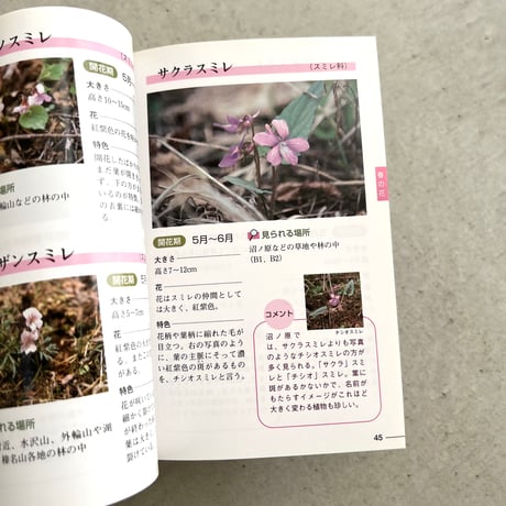 野山の花をたずねて⠀榛名山編