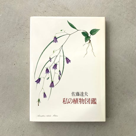 私の植物図鑑