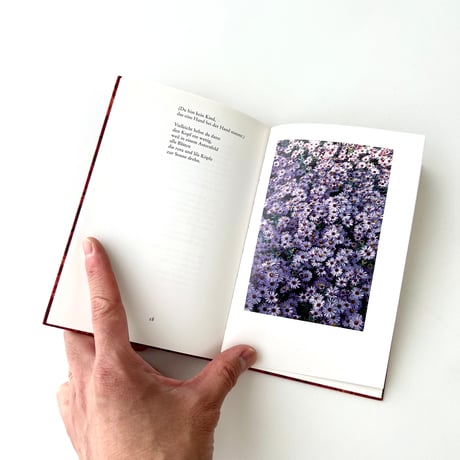 インゼル文庫　1286番　この世の美：秋の花々