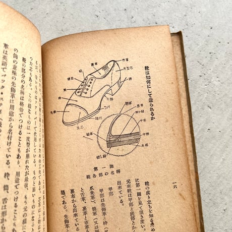 靴の科学