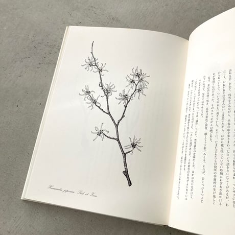 私の植物図鑑