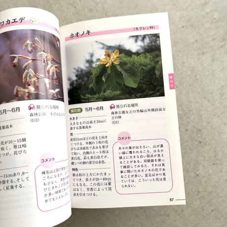 野山の花をたずねて⠀榛名山編