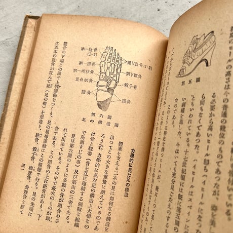 靴の科学