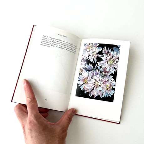 インゼル文庫　1286番　この世の美：秋の花々