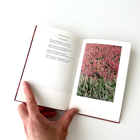 インゼル文庫　1286番　この世の美：秋の花々