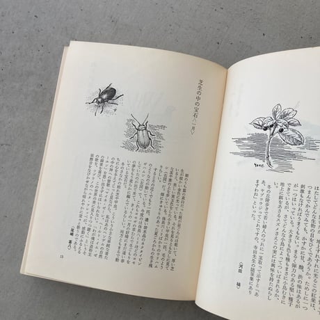 自然手帖