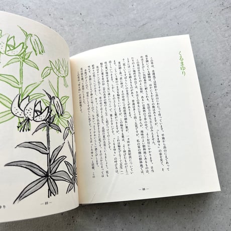 わたしの草と木の絵本