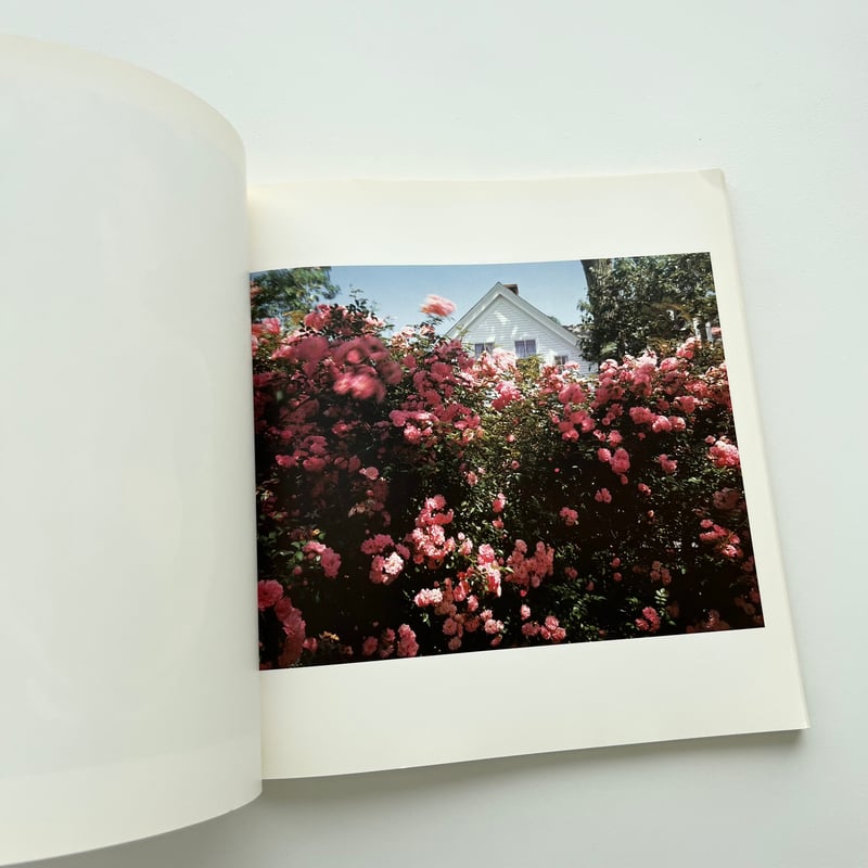 A SUMMER'S DAY | suiran