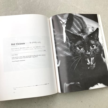 ニューヨークの猫たち