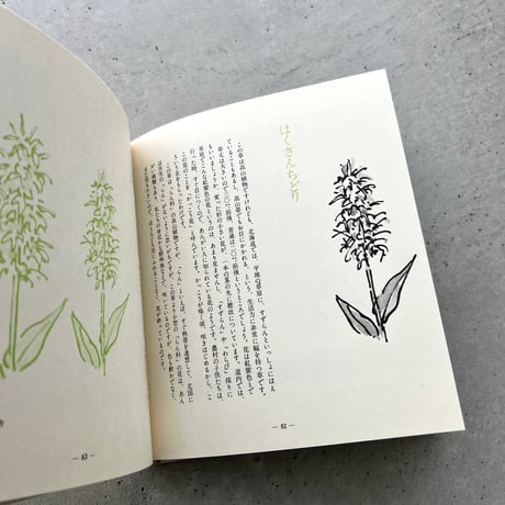わたしの草と木の絵本