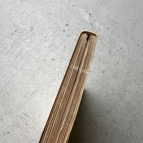 野球王国