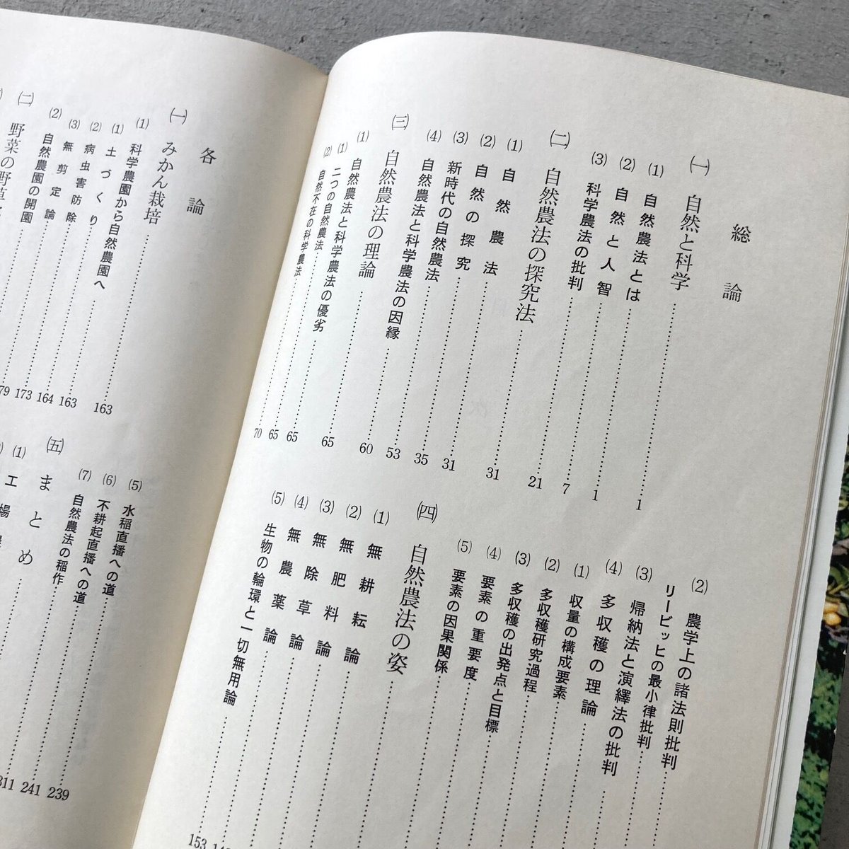 緑の哲学 | suiran